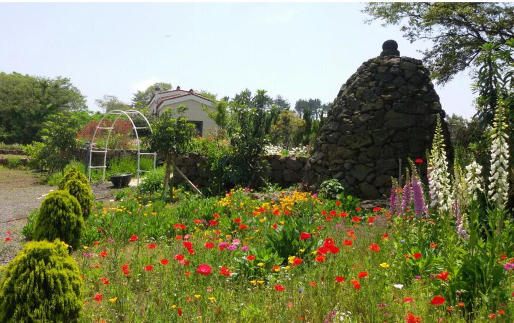 Villa Baghdad House Jeju Exterior foto