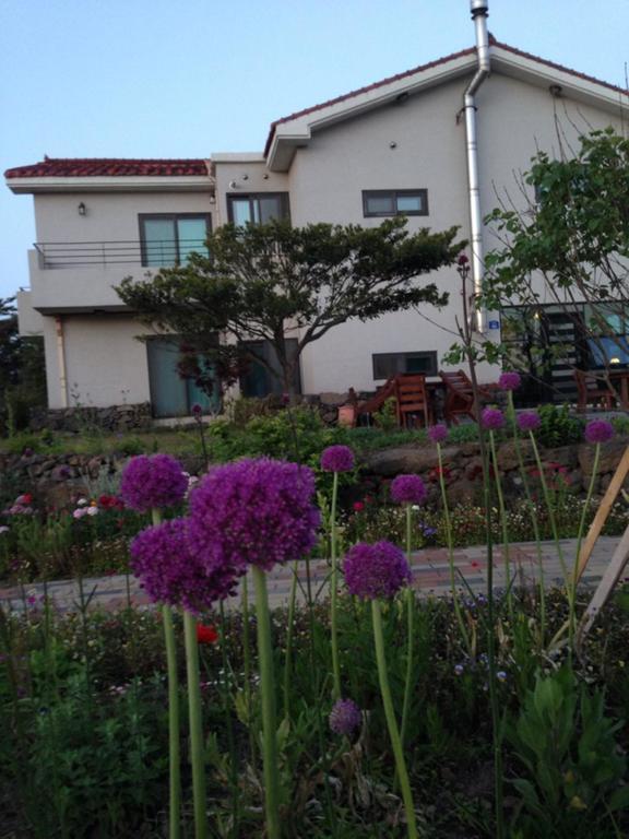 Villa Baghdad House Jeju Exterior foto